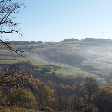 Gites Le Chene & Le Tilleul Saint-Romain-de-Lerps Zewnętrze zdjęcie